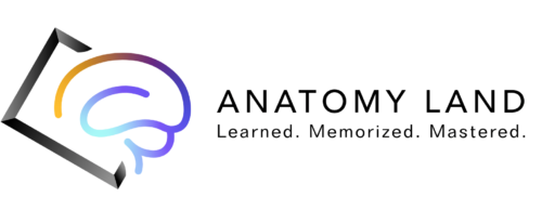 Anatomy Land Logo (1)
