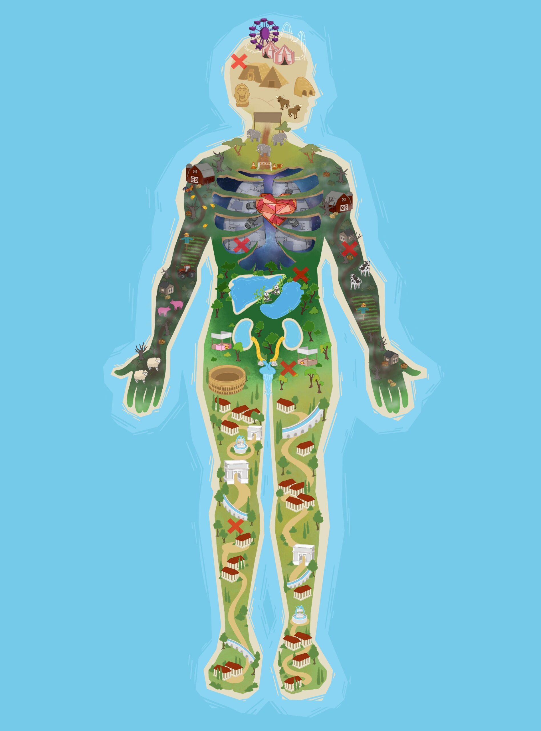 Anatomy Land Map